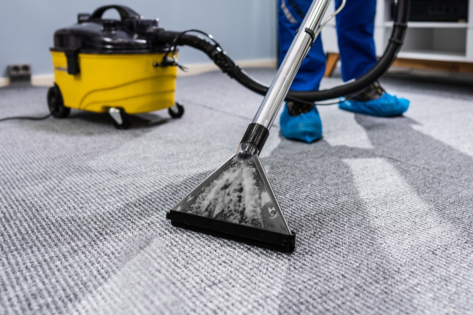 Professional carpet cleaning service