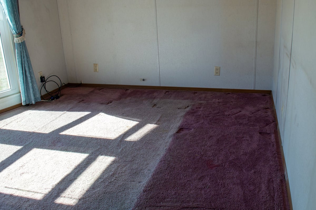 Full home carpet cleaning results