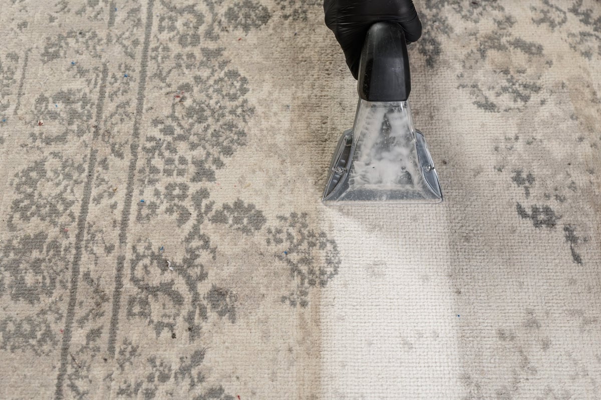 Professional rug cleaning - before and after results