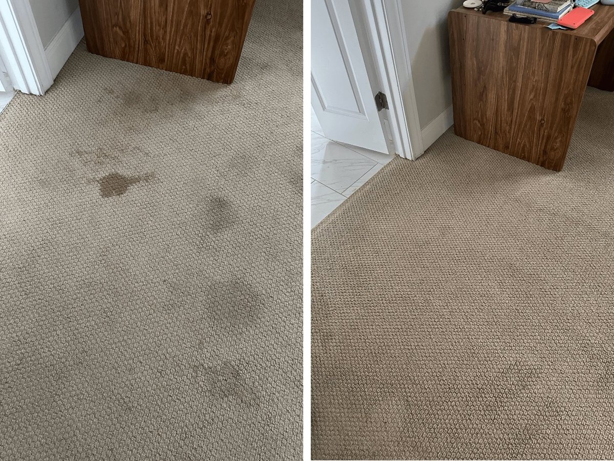 Before and after carpet cleaning showing stains removed from light beige carpet next to wooden furniture